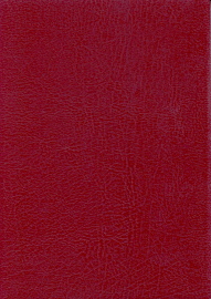 a1-25_1_front cover