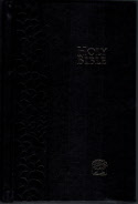 中英硬面新译本及英语标准译本(简), Standard Size Basic CNV/ESV Bilingual Bible