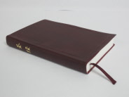 和合本圣经-枣红色封面 (简) Popular Edition Bible