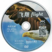 Flight: The Genius of Birds DVD