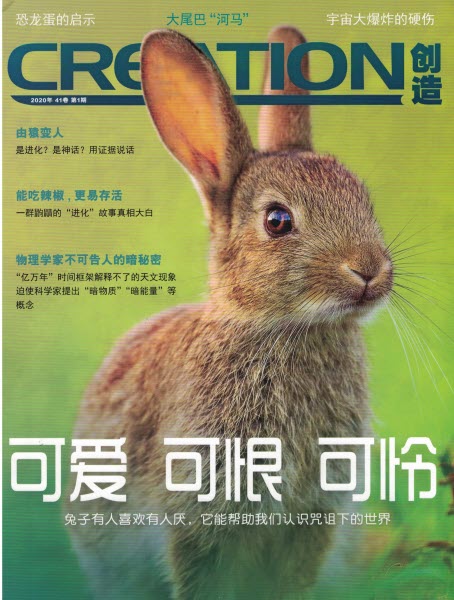 2021 first issue front cover