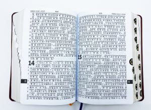081051中文拼音聖經1