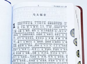 081051中文拼音聖經2